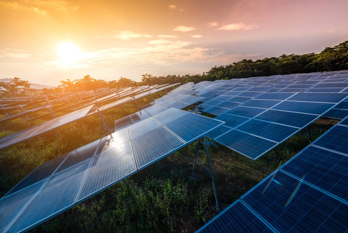 Culcairn Solar Farm