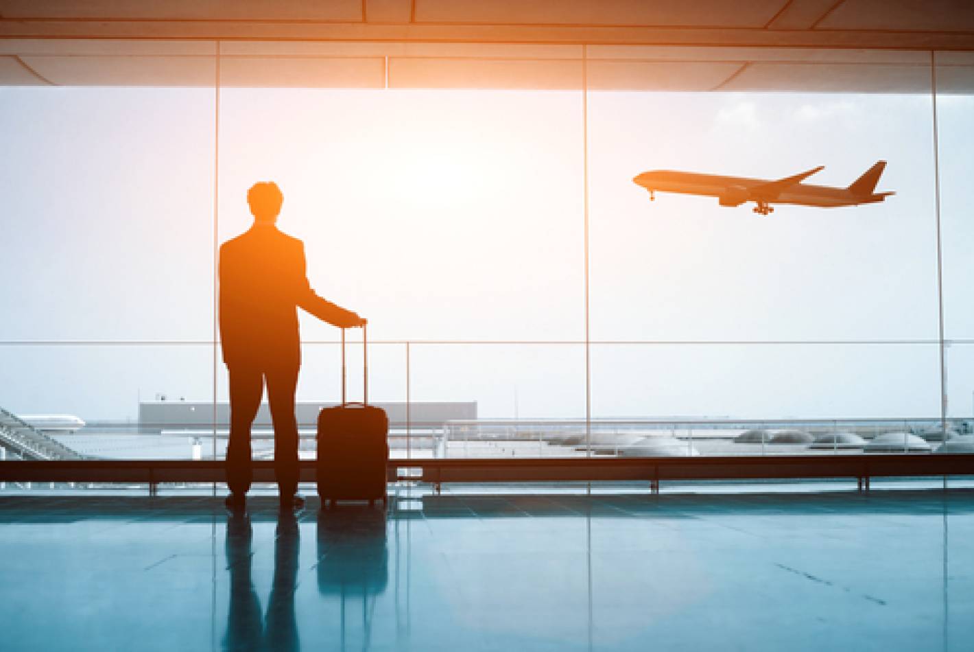 Western Sydney Airport – Bulk Earthworks Package
