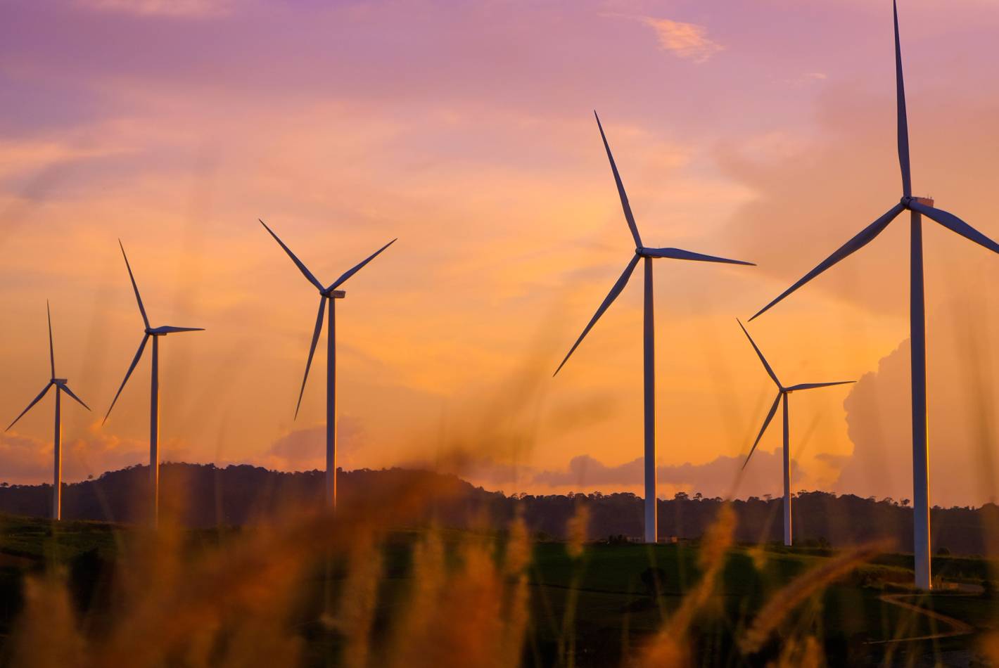 Whyte Yarcowie Wind Farm